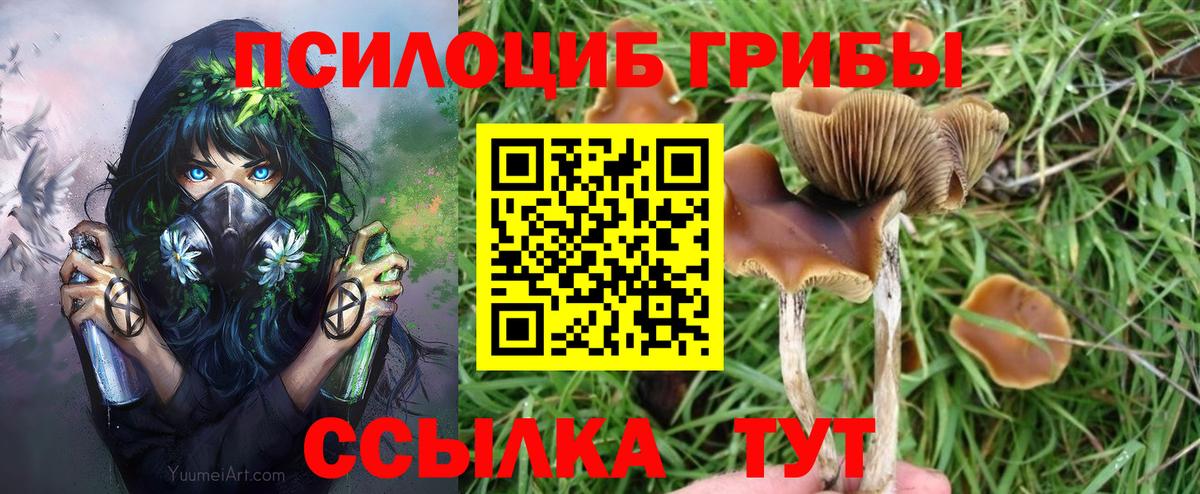 Галлюциногенные грибы Cubensis Екатеринбург
