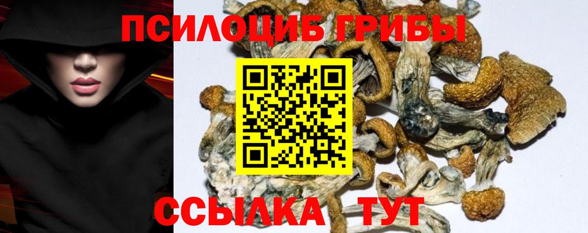 Псилоцибиновые грибы ЛСД  Вход с VPN  Екатеринбург 